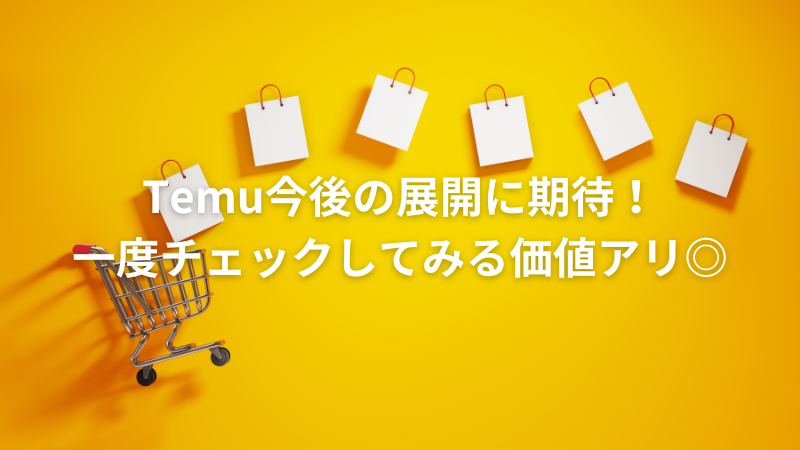 Temuレビュー全体のまとめイメージ