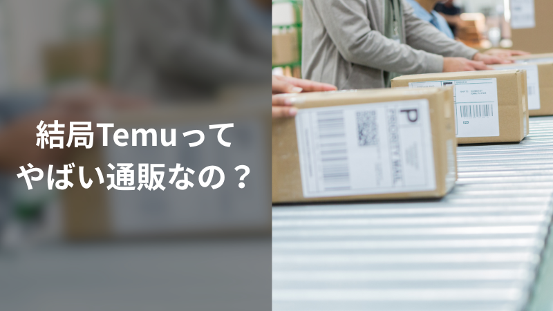 Temuに対する不安と公式対応