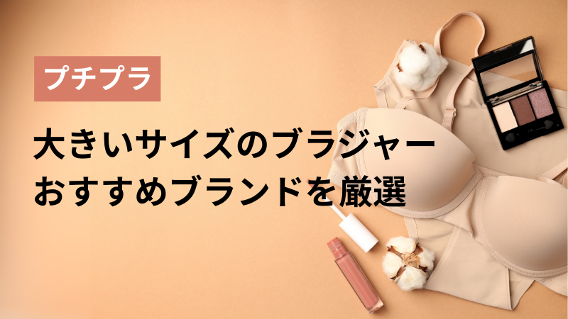 【安い】大きいサイズのブラジャーおすすめ7選｜可愛いプチプラブランドを厳選アイキャッチ画像